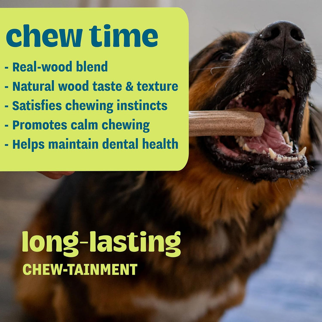 Pupstages Super Dogwood Dog Chew Toy, Made in the USA