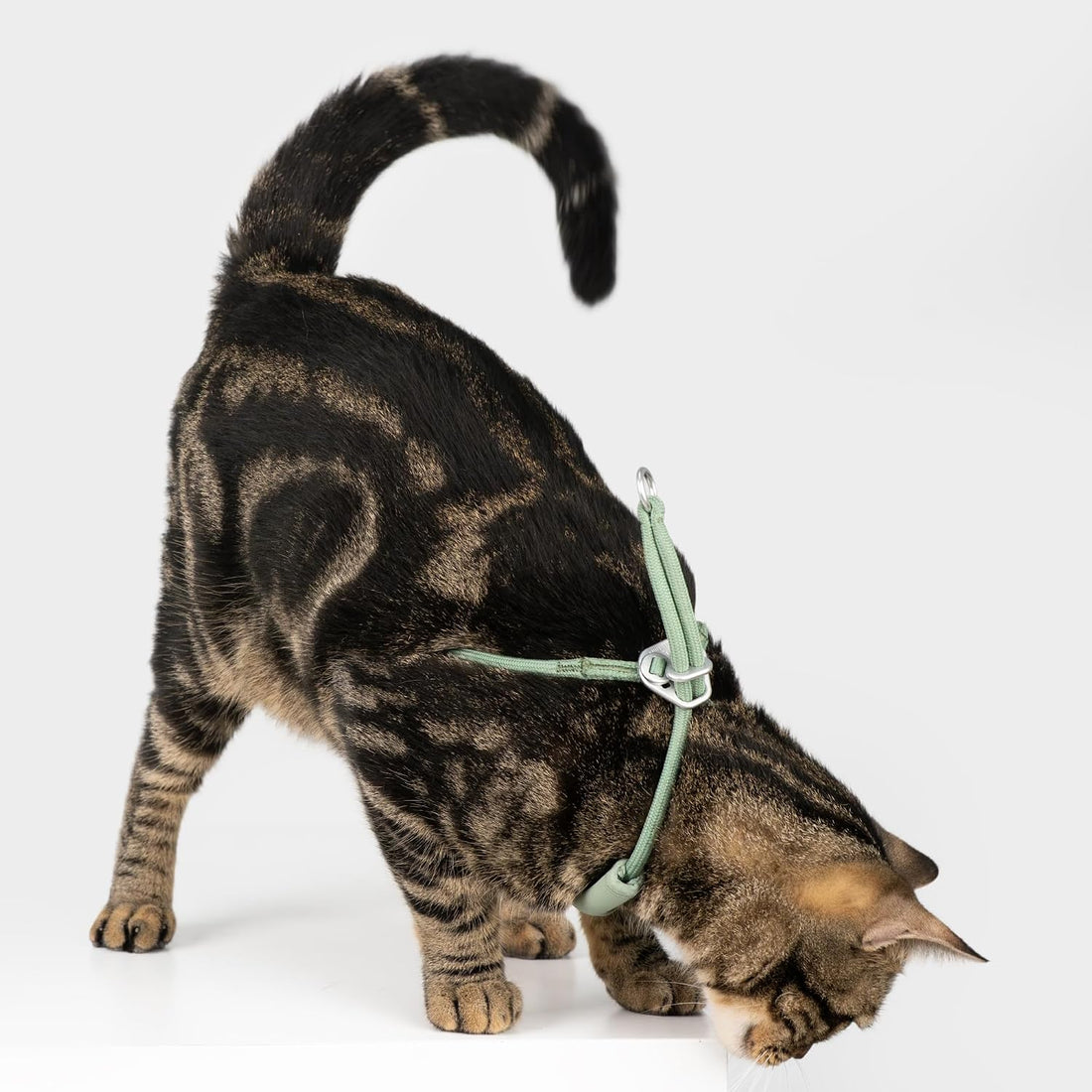 Escape Proof Y Shape Cat Harness Anti-Choke