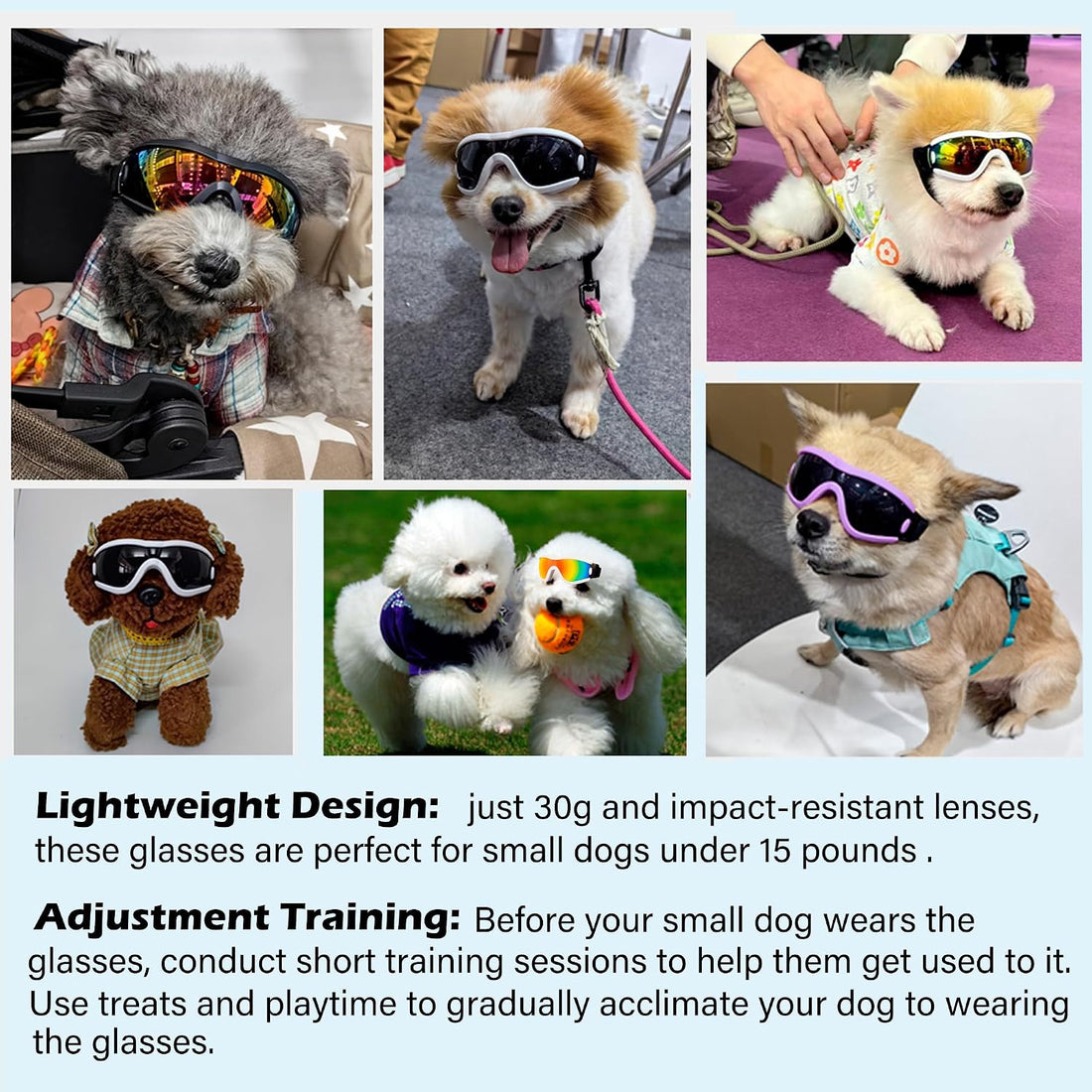 Small Dog Sunglasses with Adjustable Strap UV Protection