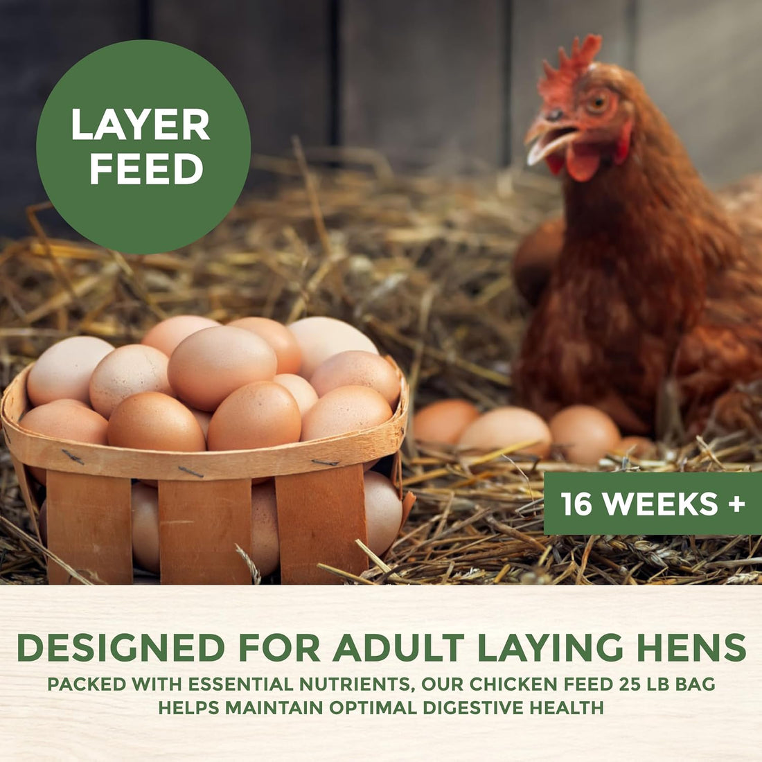 New Country Organics | Corn-Free Classic Layer Chicken Feed for Laying Hens | Corn-Free and Soy-Free | 17% Protein | Certified Organic and Non-GMO Chicken Food | 25lbs Bag