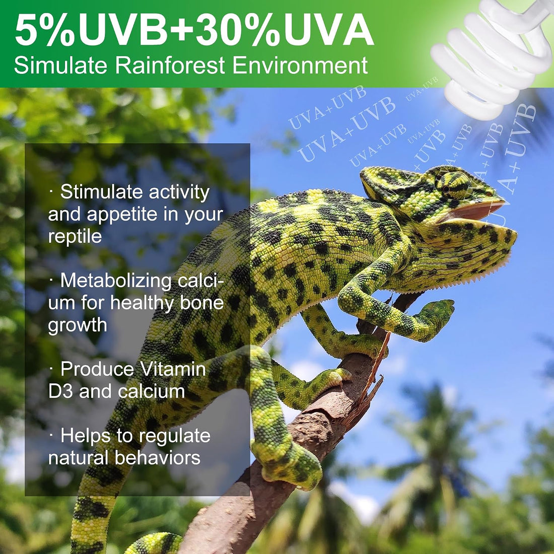 UVB Reptile Light Bulb 10.0, 23W UV Spiral Compact Florescent