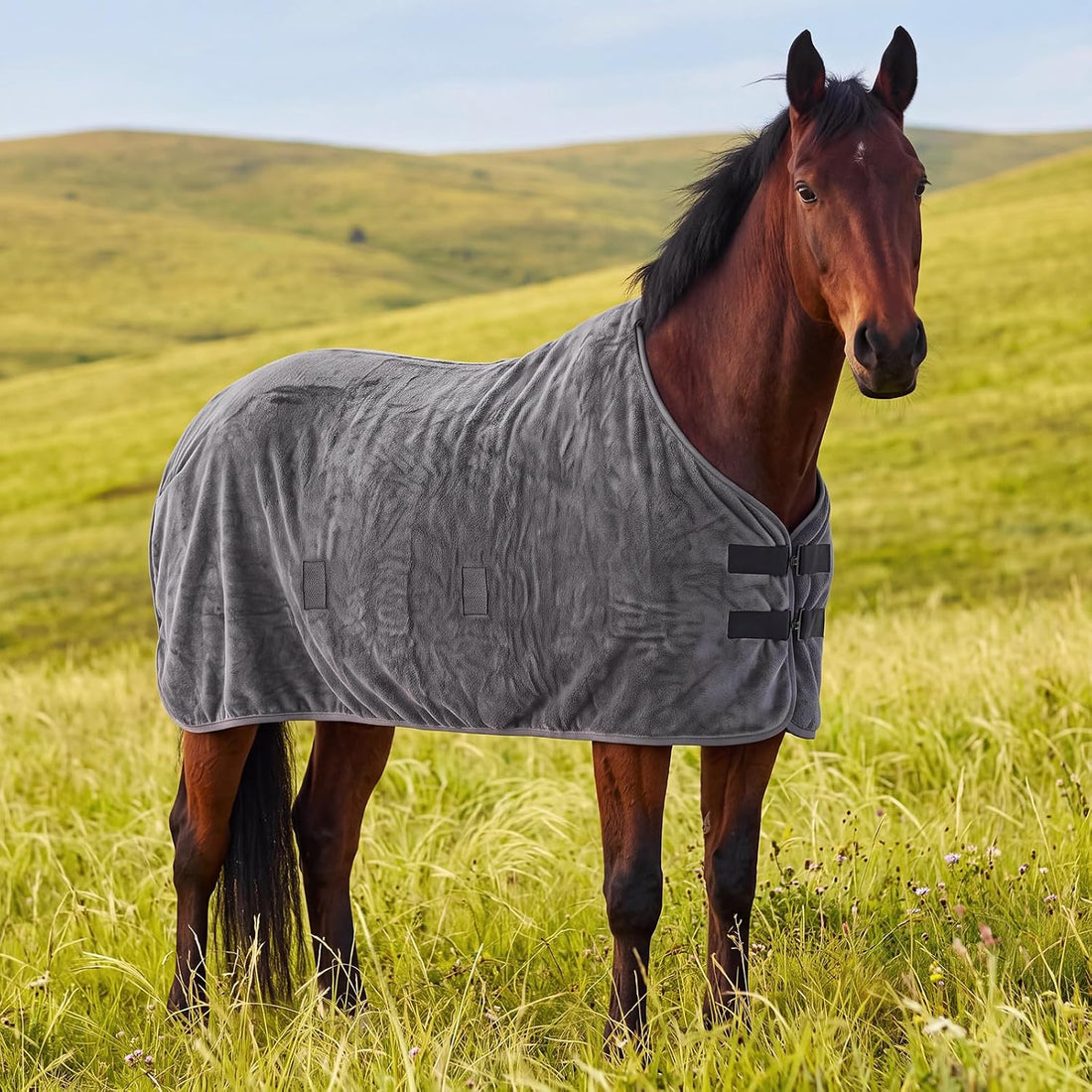 Breathable Mesh Horse Fly Sheet for Summer