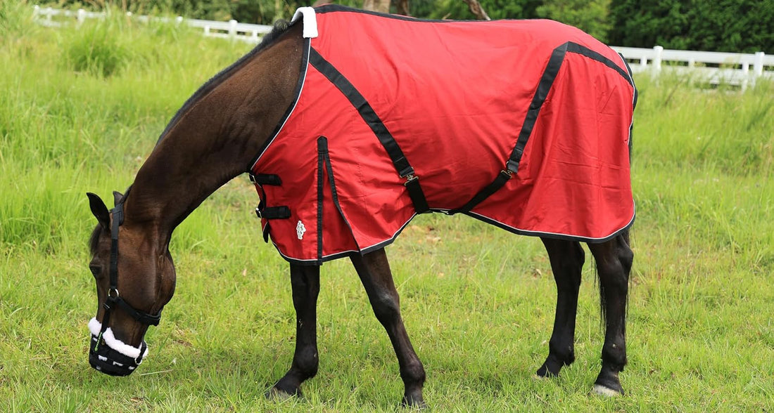 T TEKE Deluxe Horse Canvas Sheet for Snug and Clean in Stable