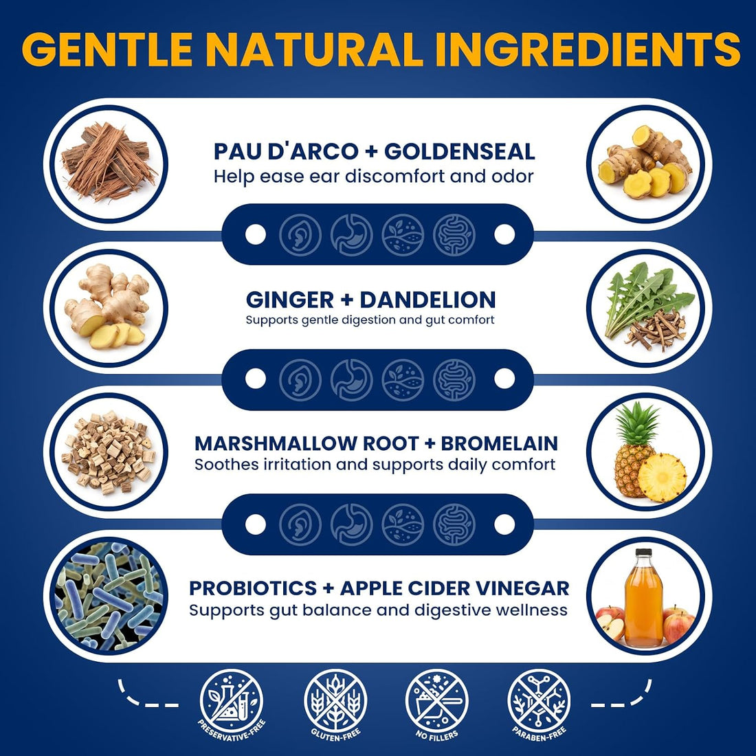 Natural Yeast Infection Treatment for Dogs