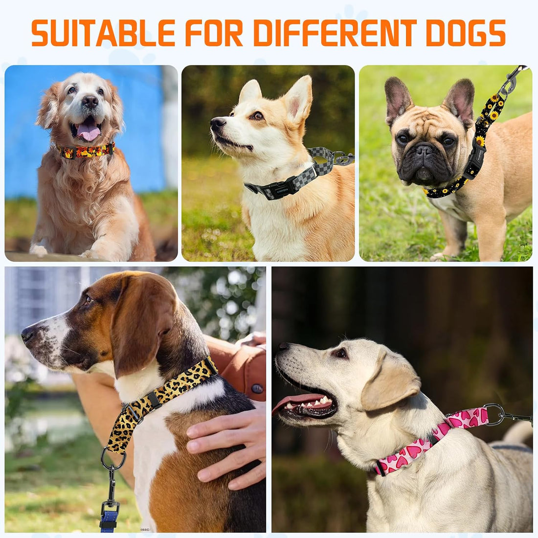 Kazazoo Martingale Collar for Dogs with Quick Release Buckle