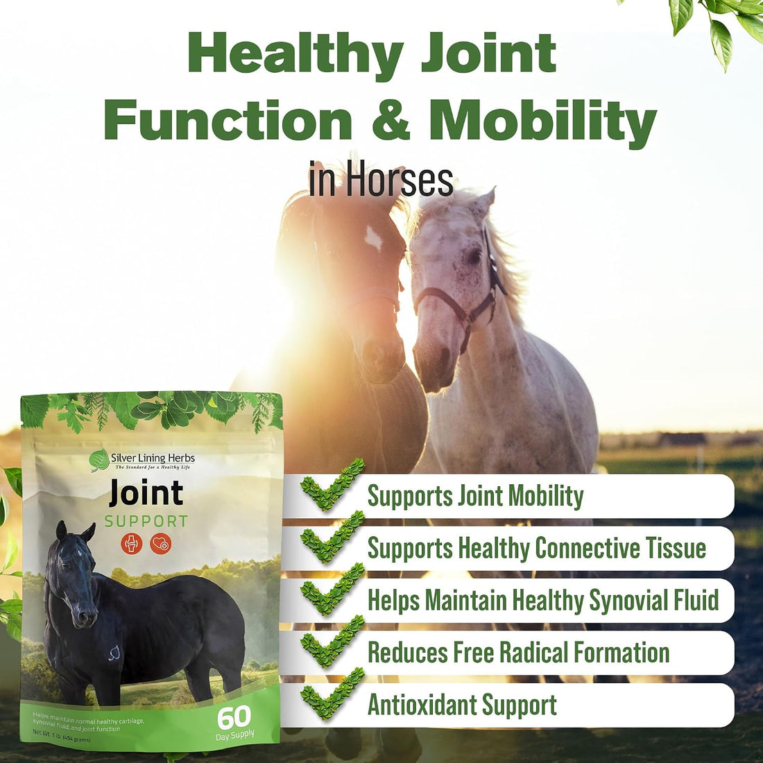 Silver Lining Herbs Horse Joint Supplement - Mobility & Comfort