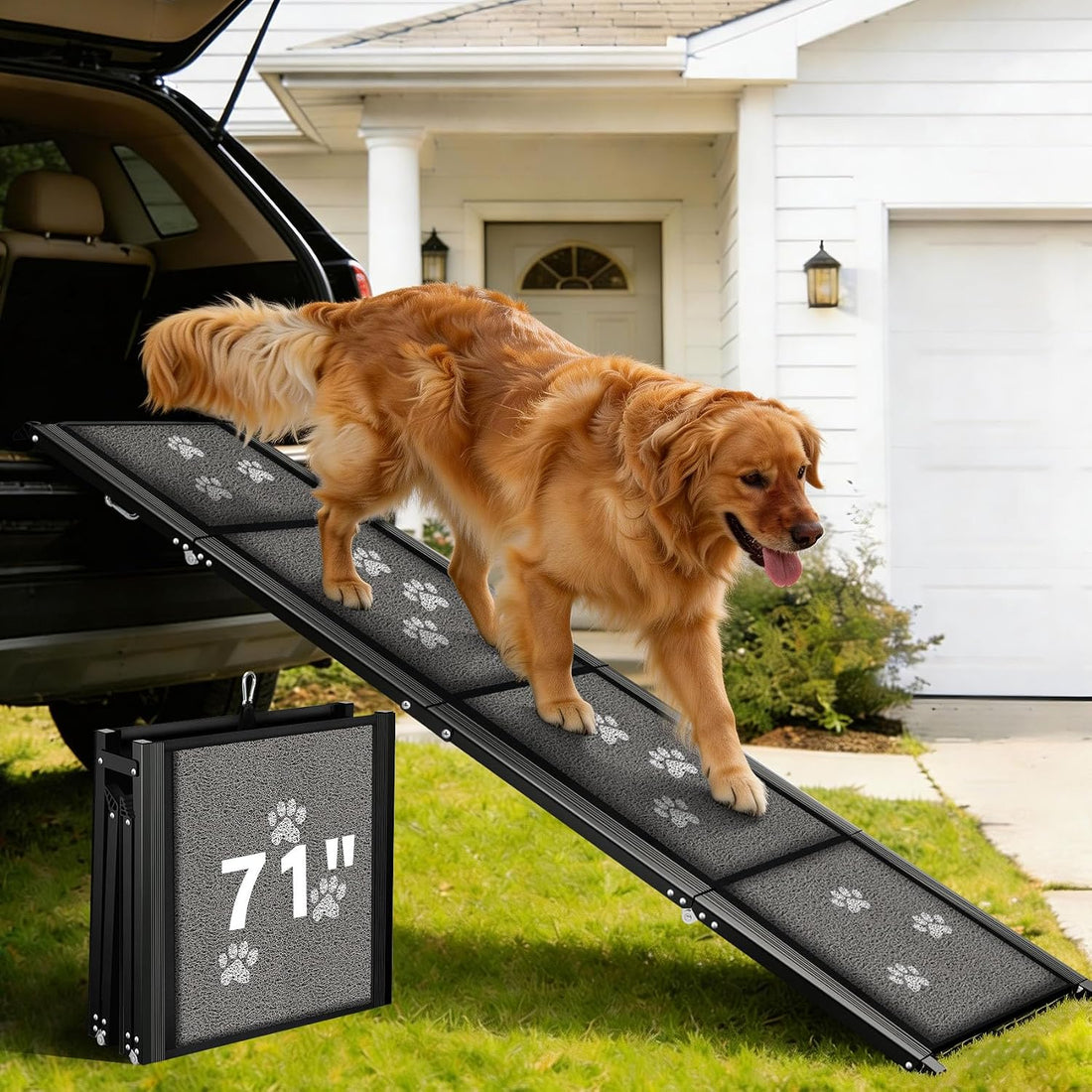 Dog Ramp for Car 63" Long & 17" Wide Portable Ramps for Large Dogs
