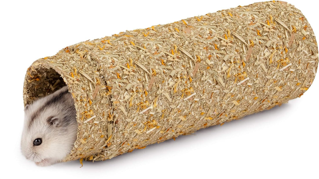 Niteangel Creative & Composable Hamster Tunnel