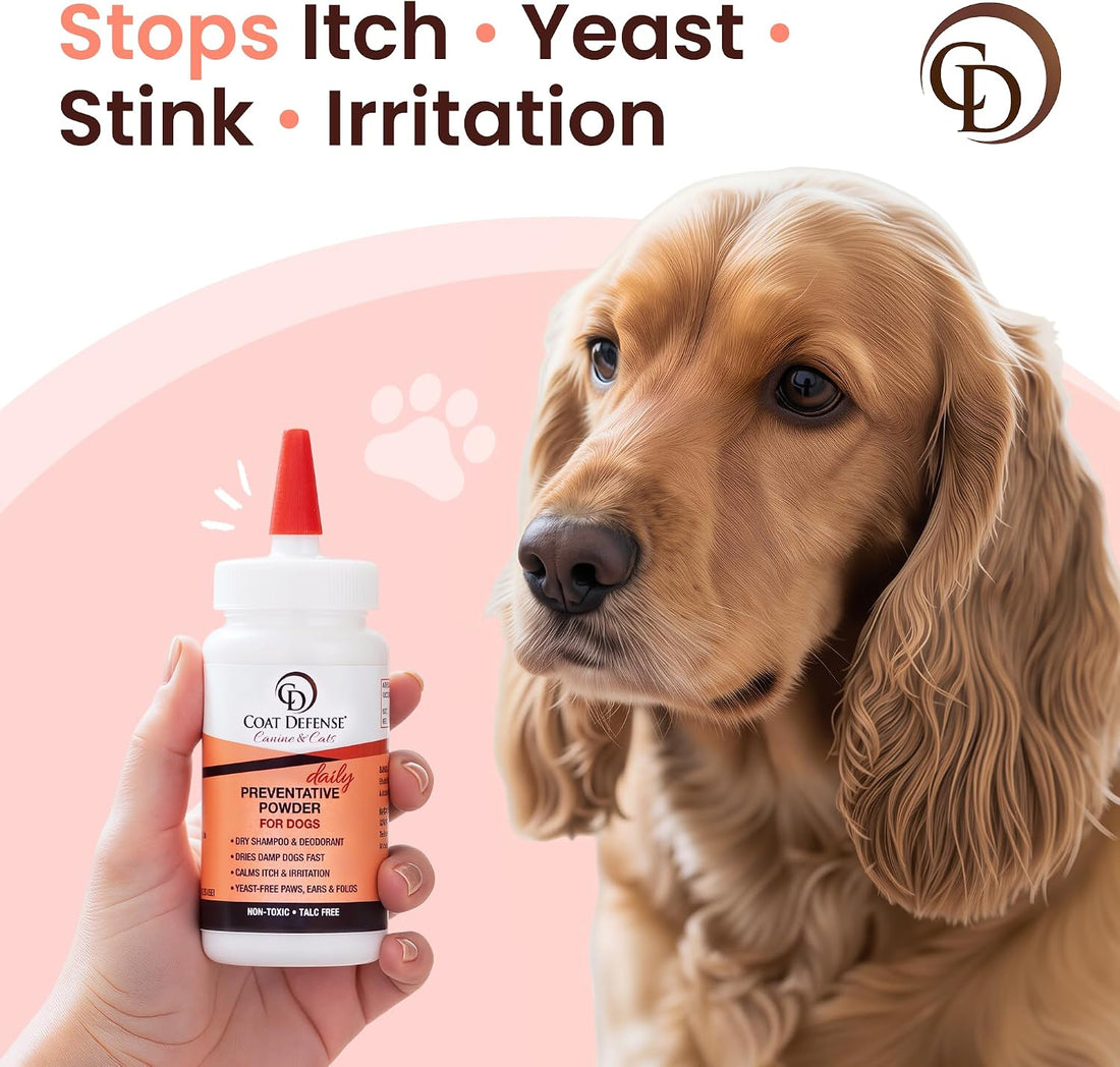 COAT DEFENSE Daily Preventative Powder | Made in USA