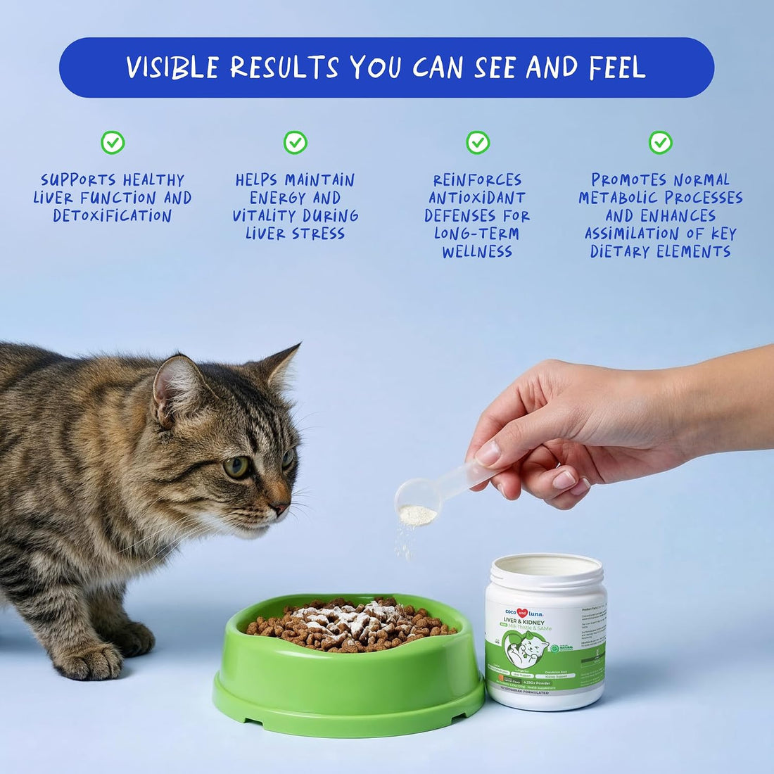 Milk Thistle for Cats Liver Support, Kidney Health & Detox Support