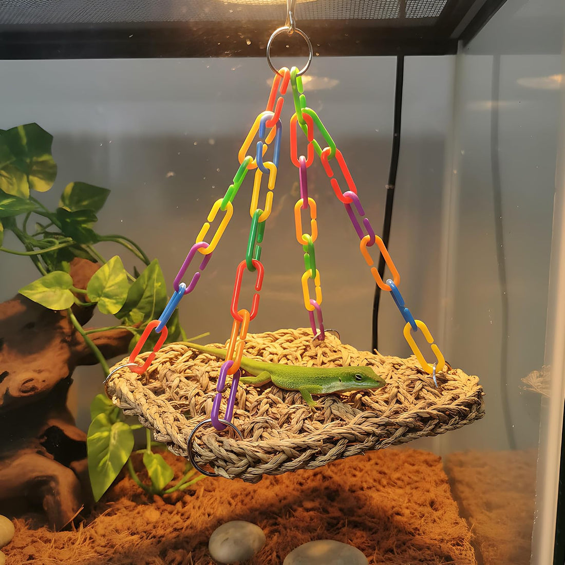 Natural Grass Bird Hammock, Climbing Perch for Pets