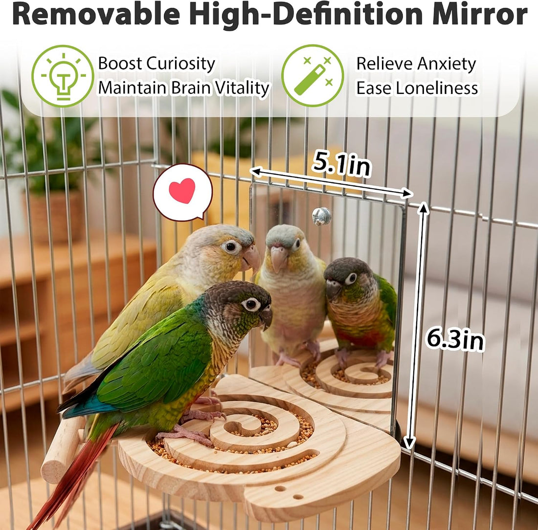 Bird Foraging Toys with Perch, for Novice/Older/Slow-Learning Birds
