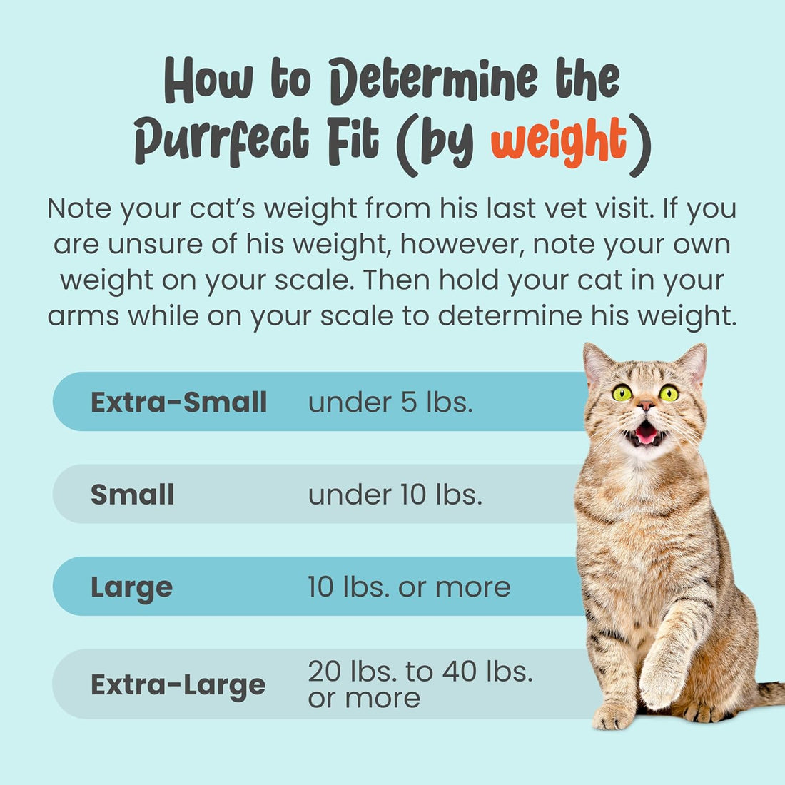 Cat-in-the-Bag Cozy Comfort Carrier