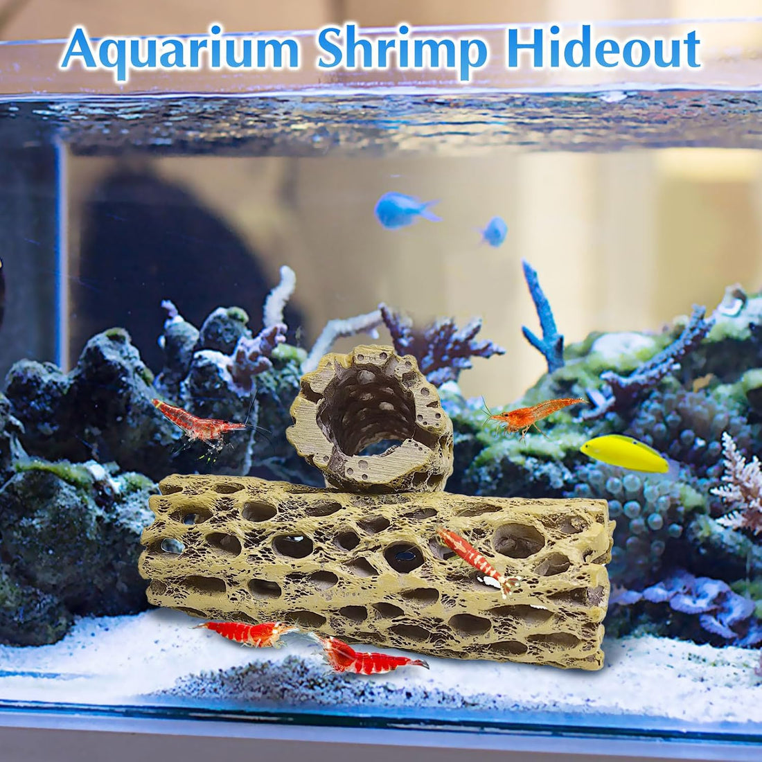 kathson 6" Resin Cholla Wood, Aquarium Shrimp Hideout (3PCS)