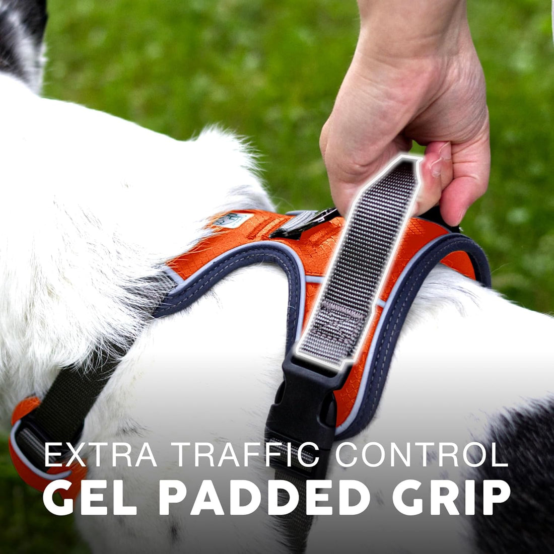 Embark Adventure No Pull Dog Harness