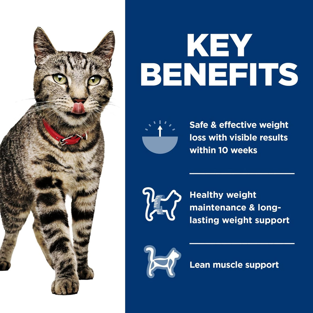 Hill's Science Diet Adult Perfect Weight Wet Cat Food Variety Pack
