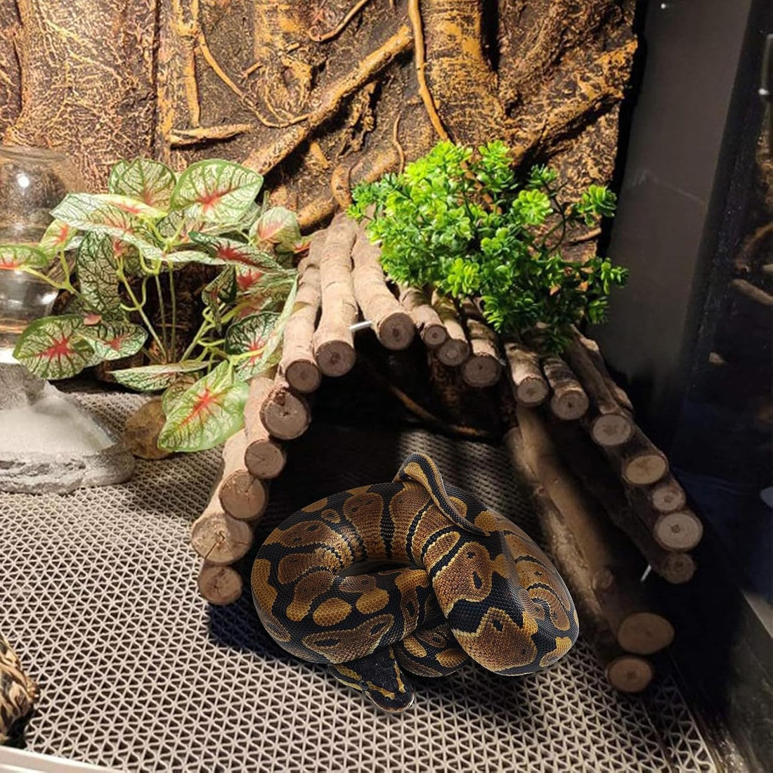 Hamiledyi Extra Large Tortoise Hide Reptile Hideout Wood Turtle Tunnel