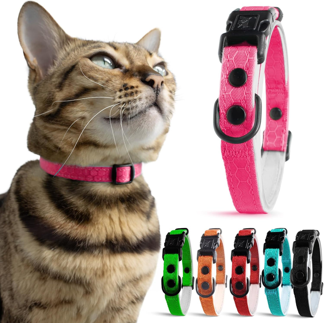 OutdoorBengal Durable Breakaway Cat Collar, No Bell (Blue, M/L)