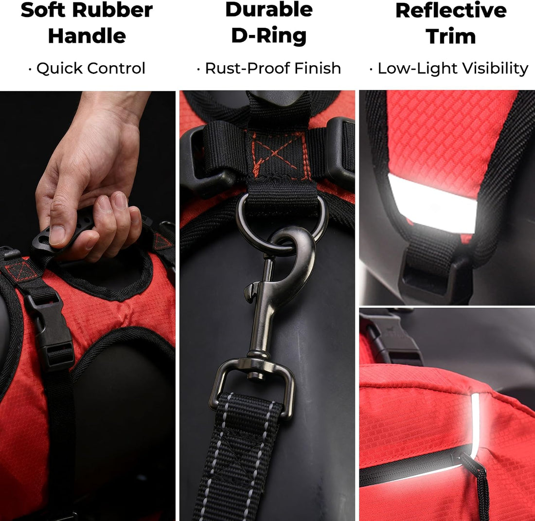 2-in-1 Detachable Dog Backpack Harness for Day Hiking (Medium)