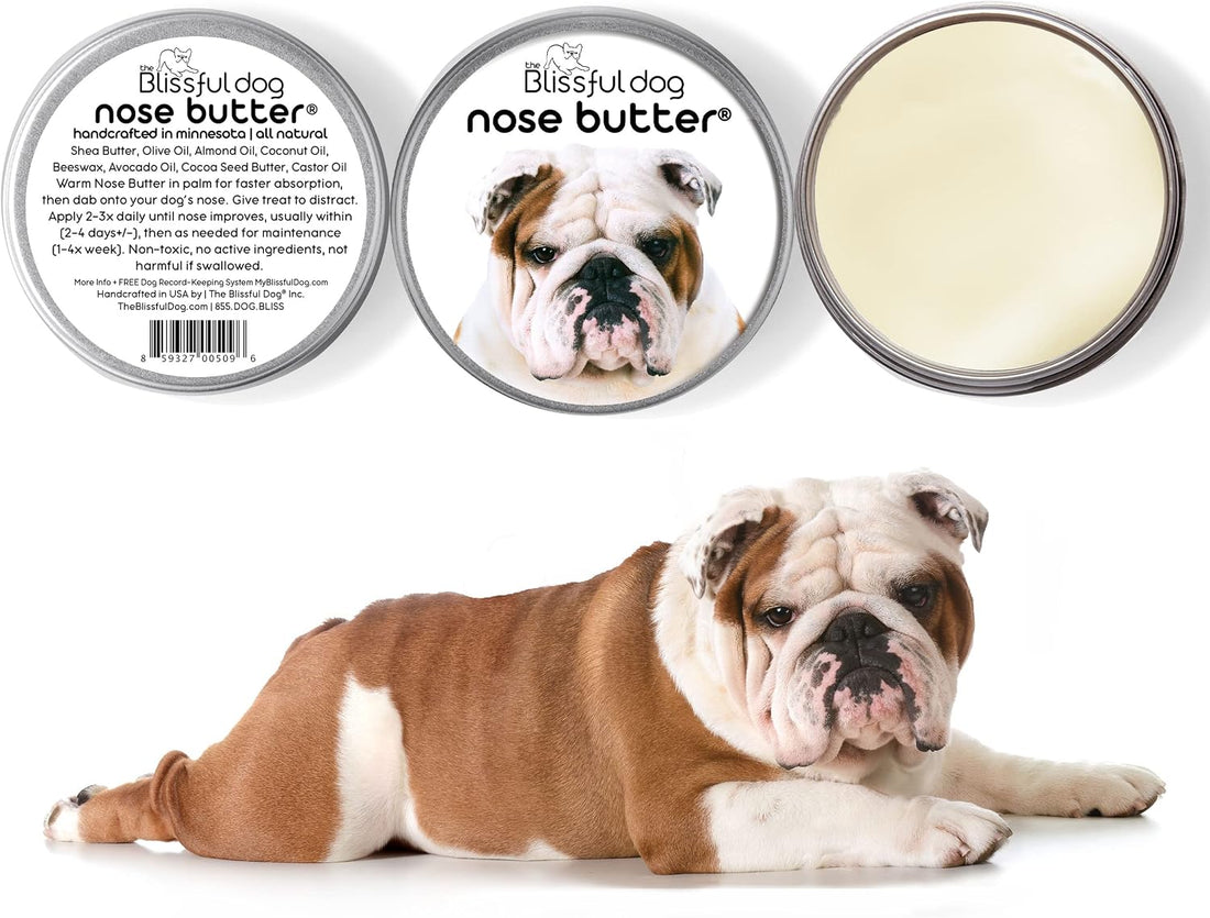 The Blissful Dog Bulldog Nose Butter