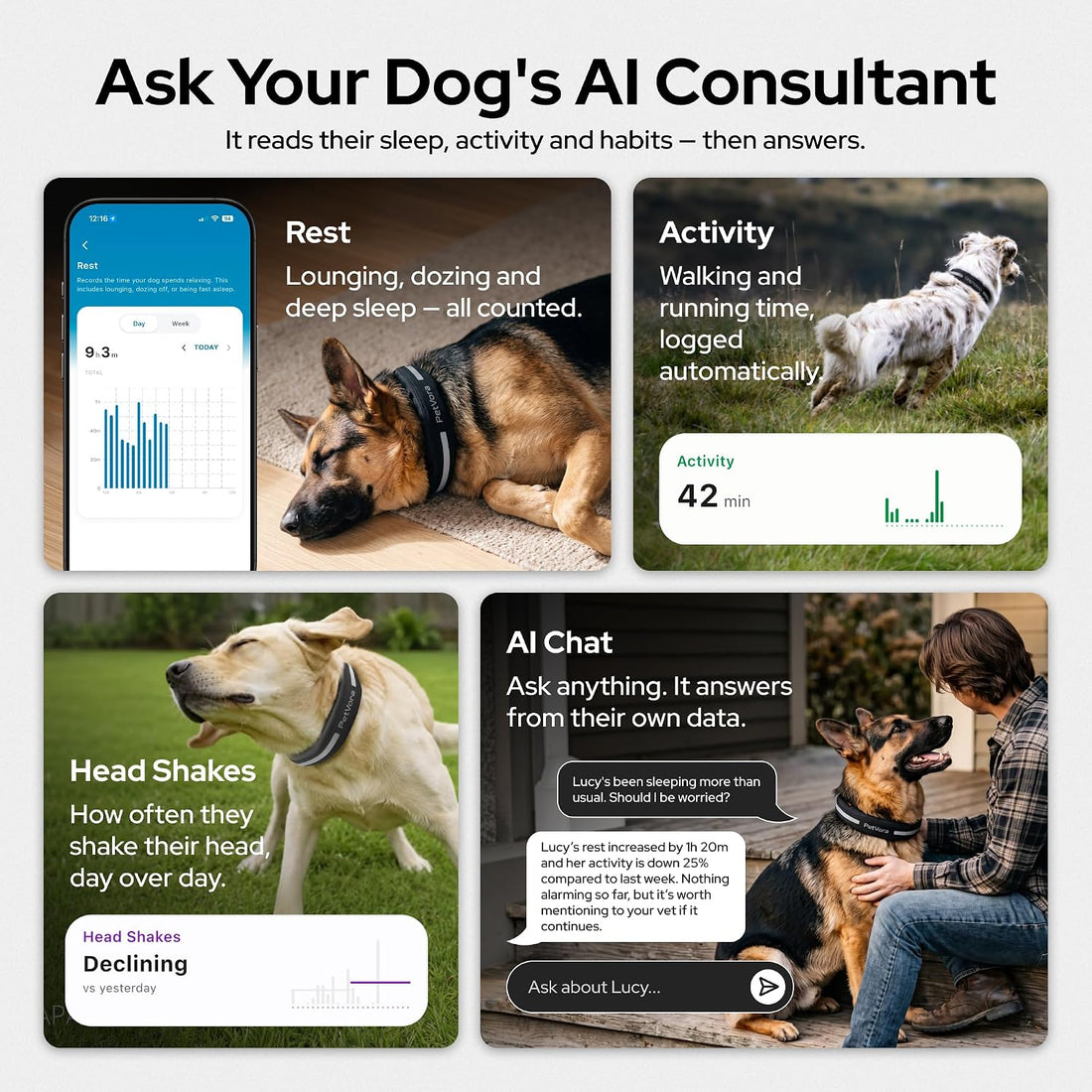 Smart Collar GPS Dog Collar, Real-Time Tracking & Escape Alerts