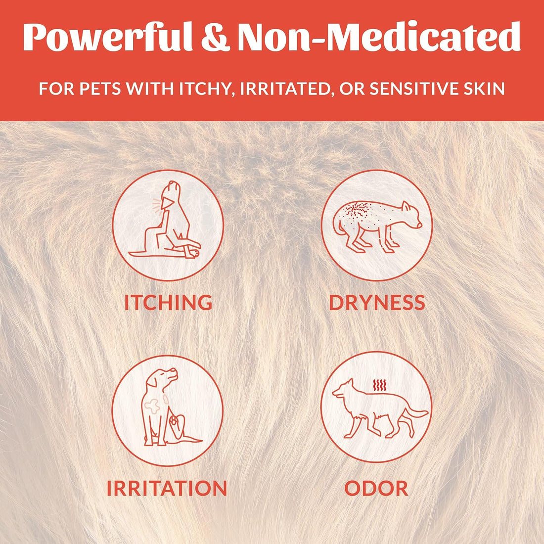 SKOUT'S HONOR Probiotic Itch Relief Spray for Dogs, 8 oz