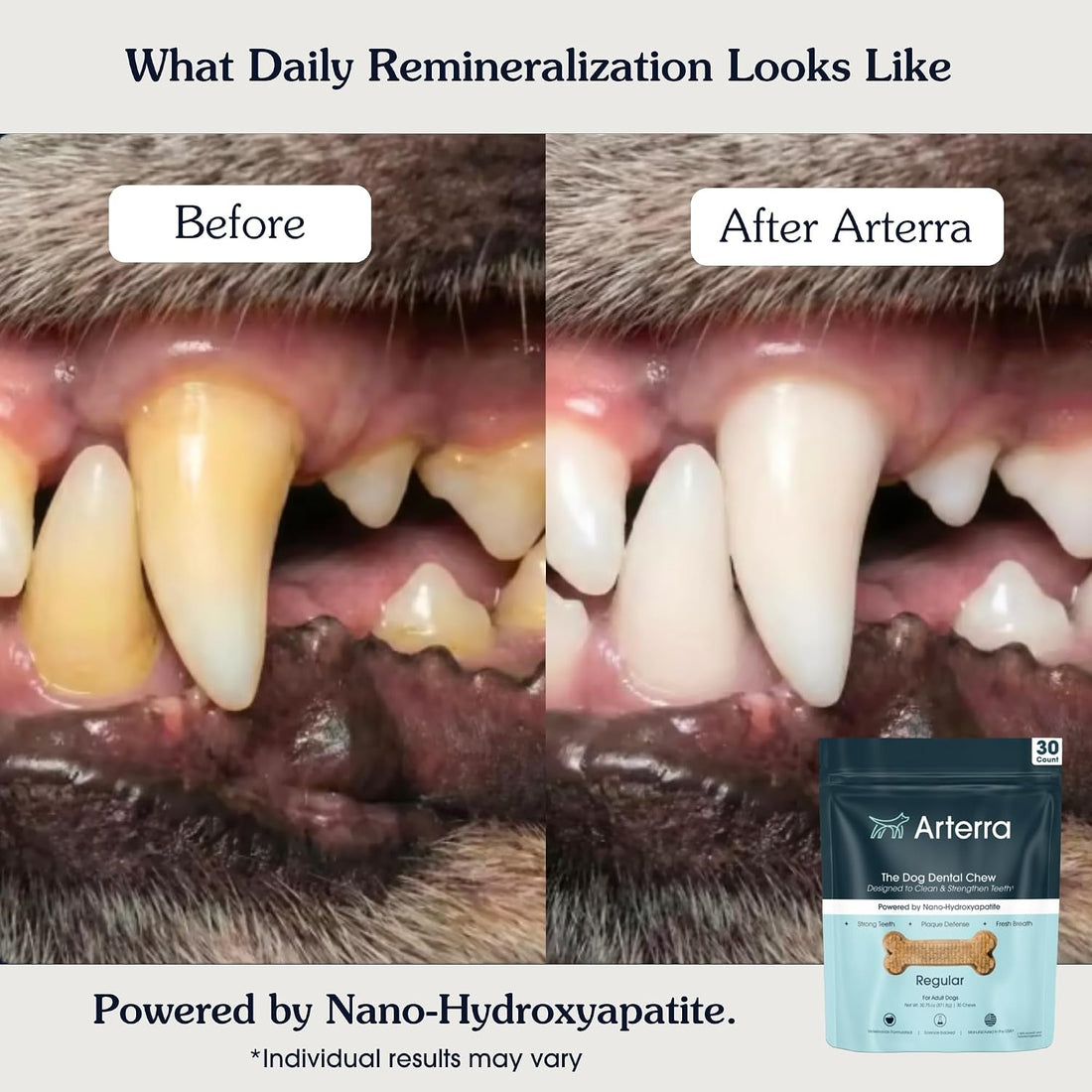Arterra Dental Chews for Small Dogs with Nano-Hydroxyapatite 14 Count