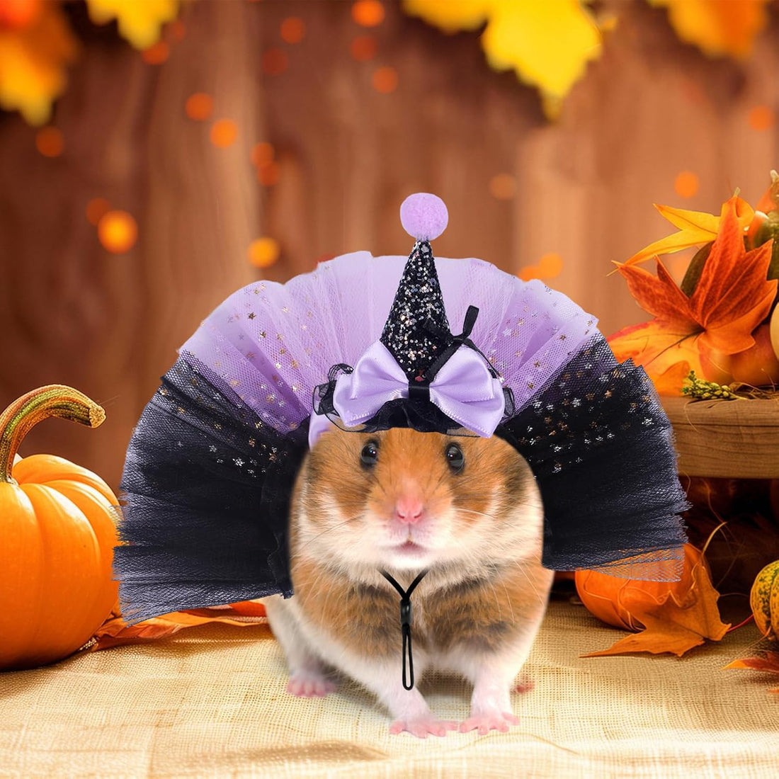 2pcs Bearded Dragon Witch Costume Set Small Pet Adjustable Hat Bow