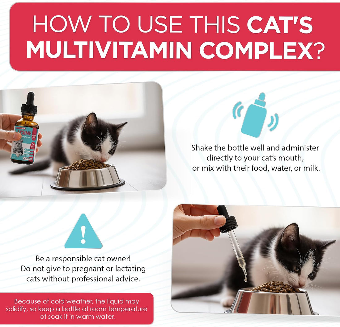 L Lysine for Cats with Taurine & Probiotic