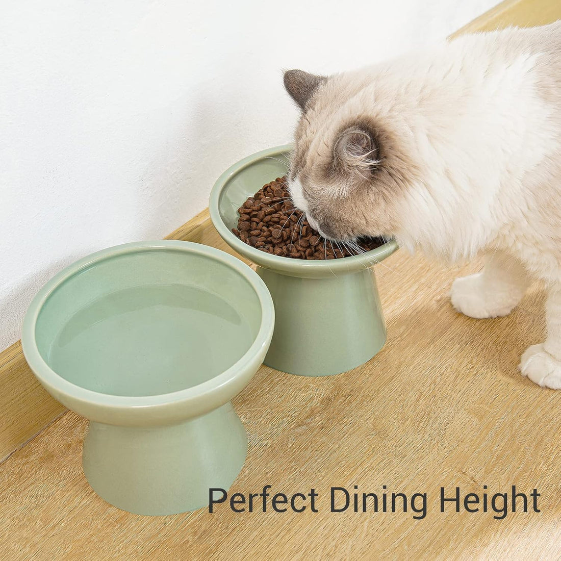 CEEFU 2 Elevated Ceramic Cat Bowls Extra Wide for Food & Water