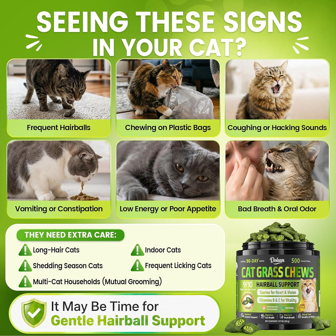 Cat Grass Treats, Hairball Treatment for Cats, for Indoor Cats