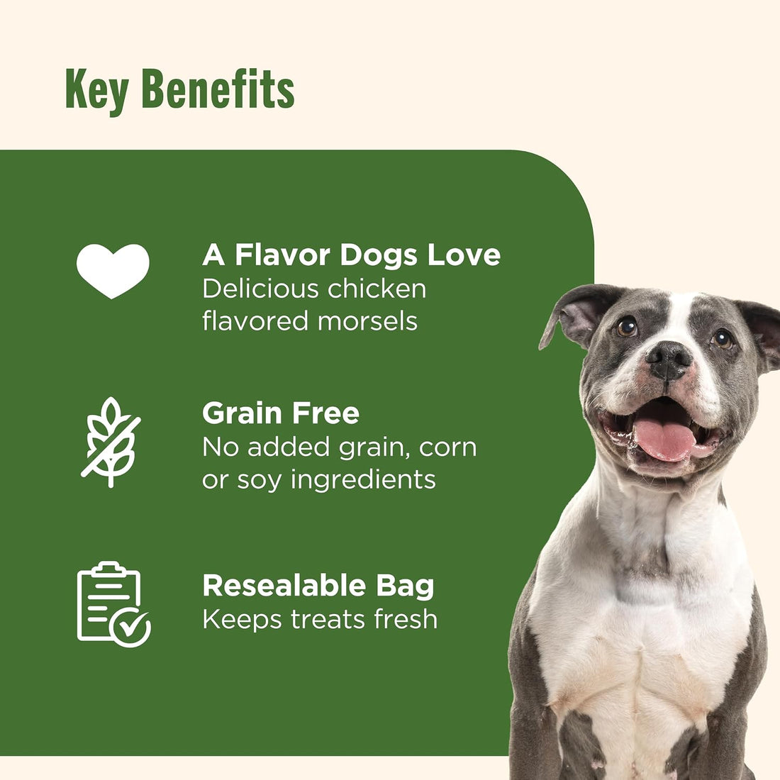 Nutrish Savory Roasters Dog Treats with Chicken, 30 oz. Pouch