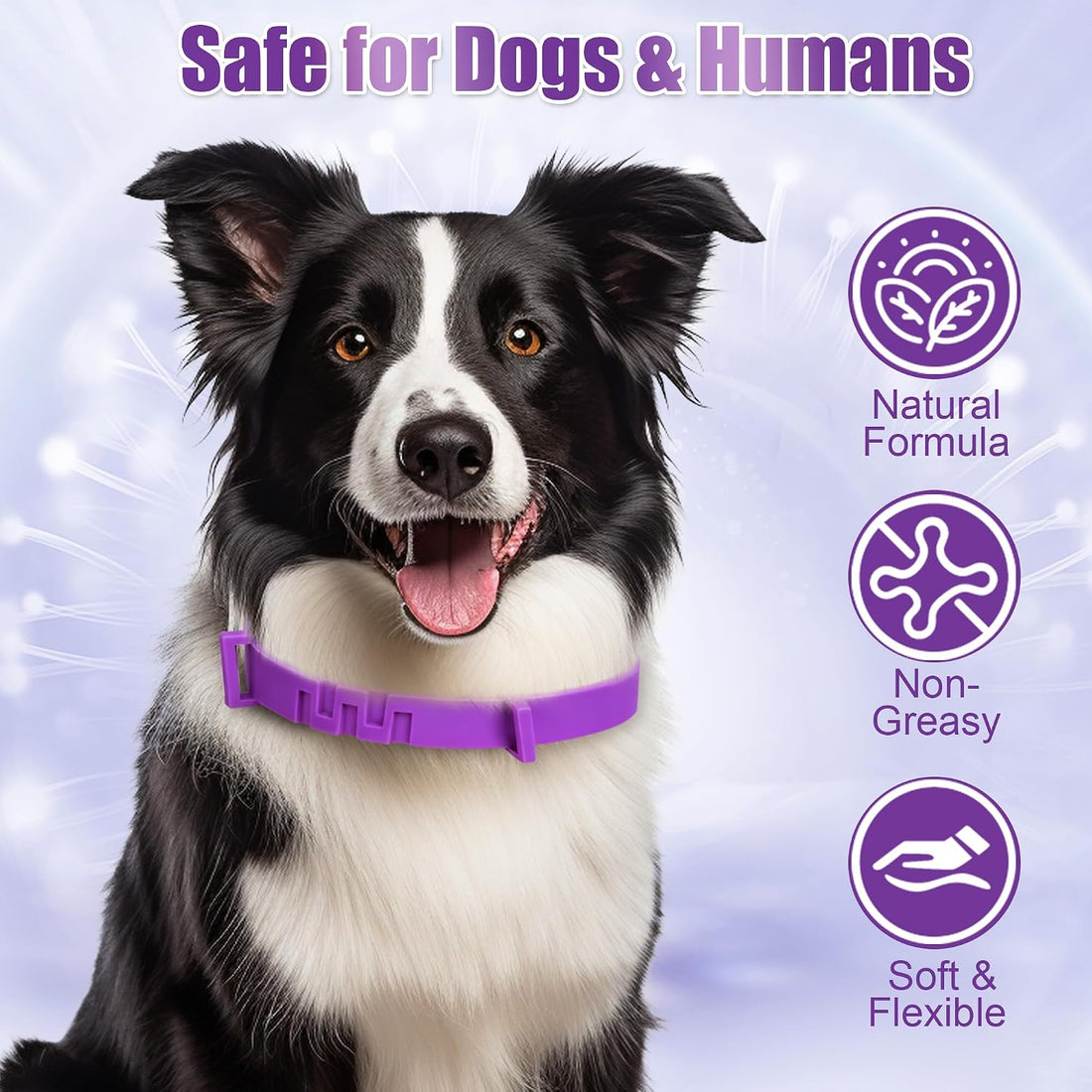 4 Pack Dog Collars for Small Medium Large Dog, Flea and Tick Collar