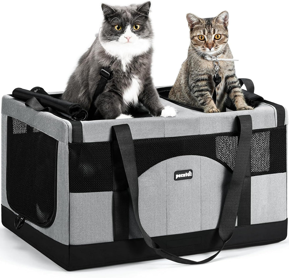 Pecute Large Cat Carrier, Soft Double Pet Crate for 2 Cats Travel