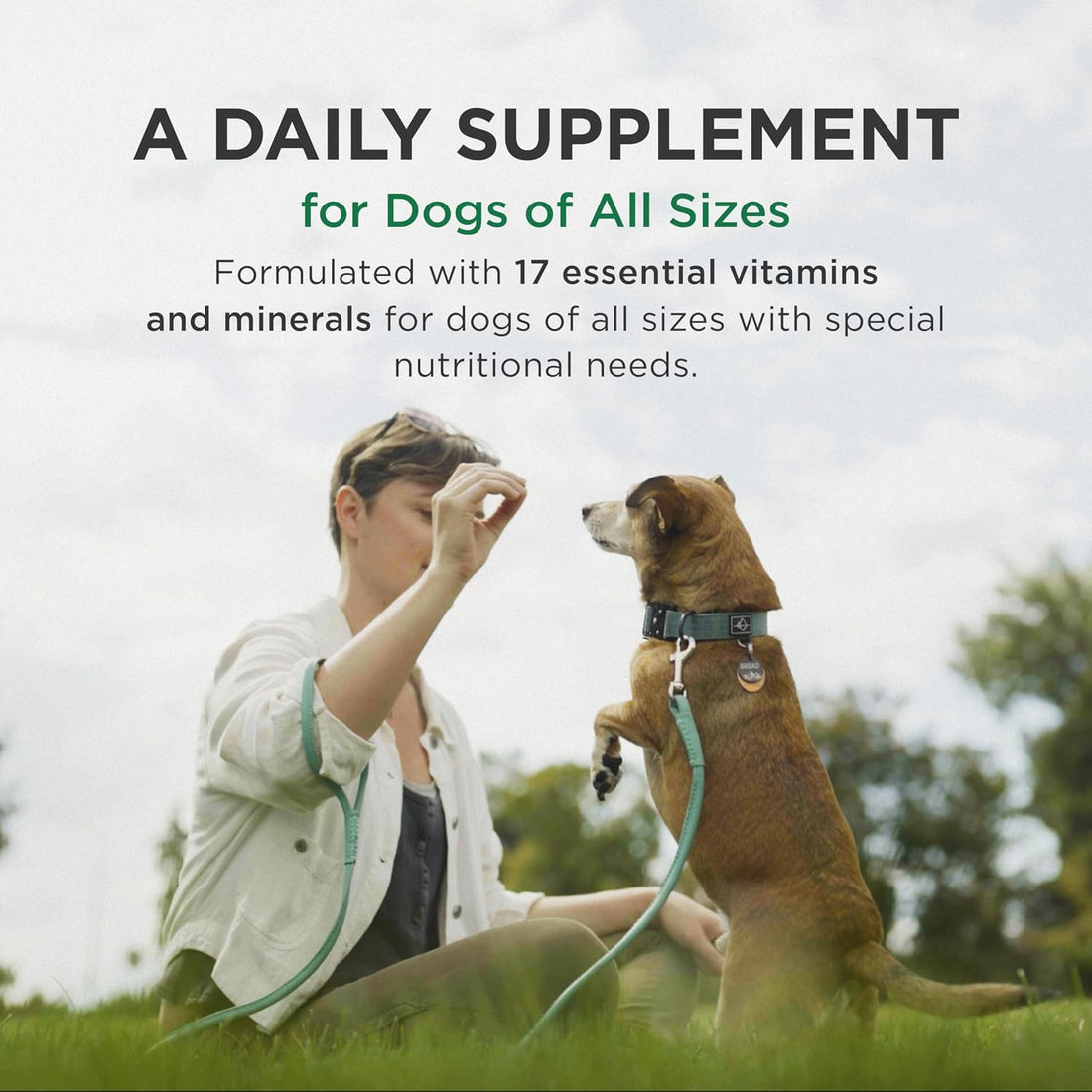 Pet-Tabs Multivitamin and Mineral Supplement for Dogs, Chewable Tablet