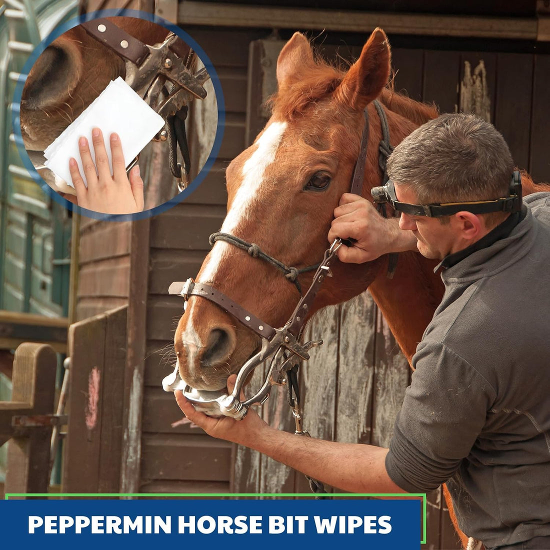 Threlaco 3 Pack Horse Bit Wipes, Peppermint Horse Bit Cleaners