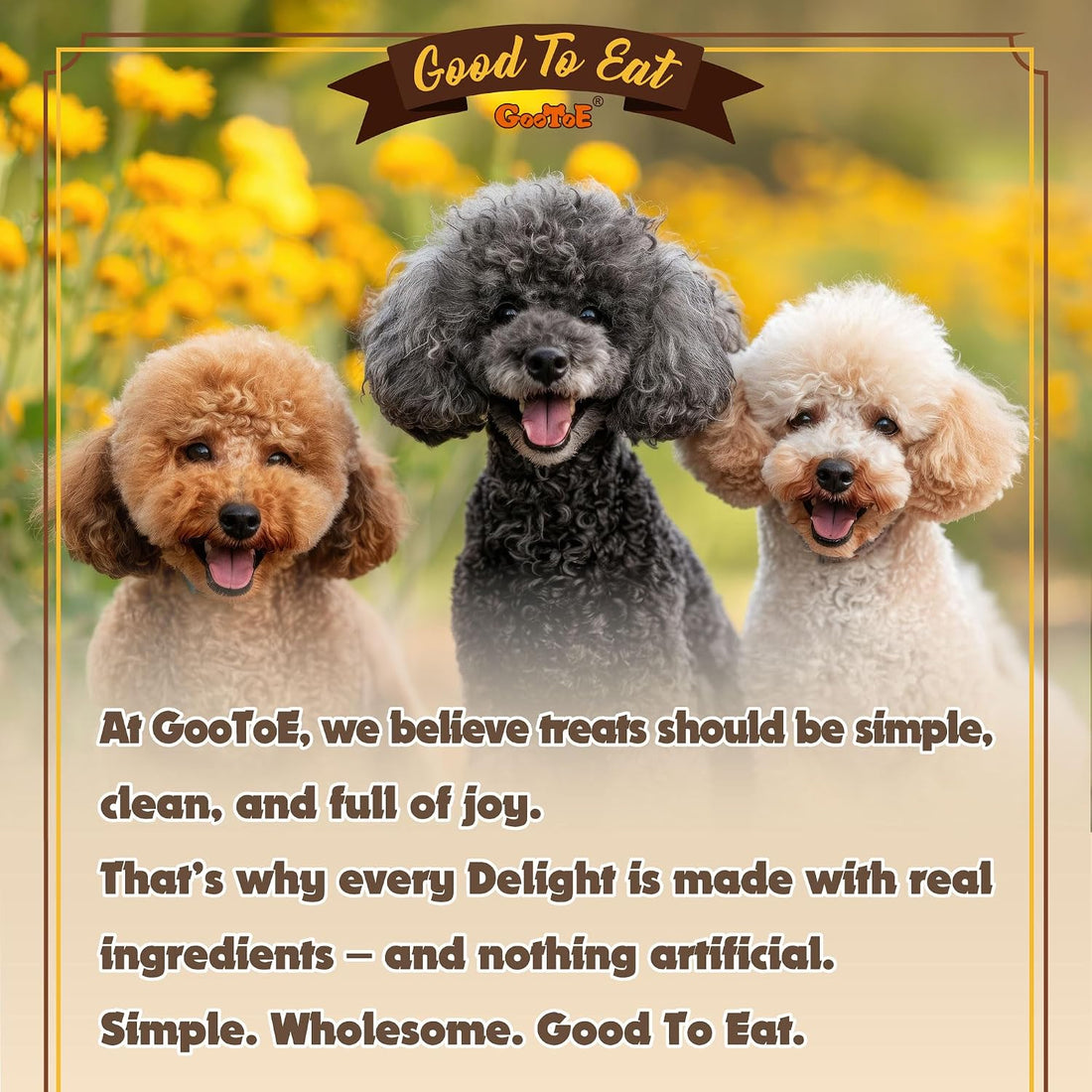 Gootoe Turkey Tendons for Dogs, Natural Chews, Strips, 3 oz Pack