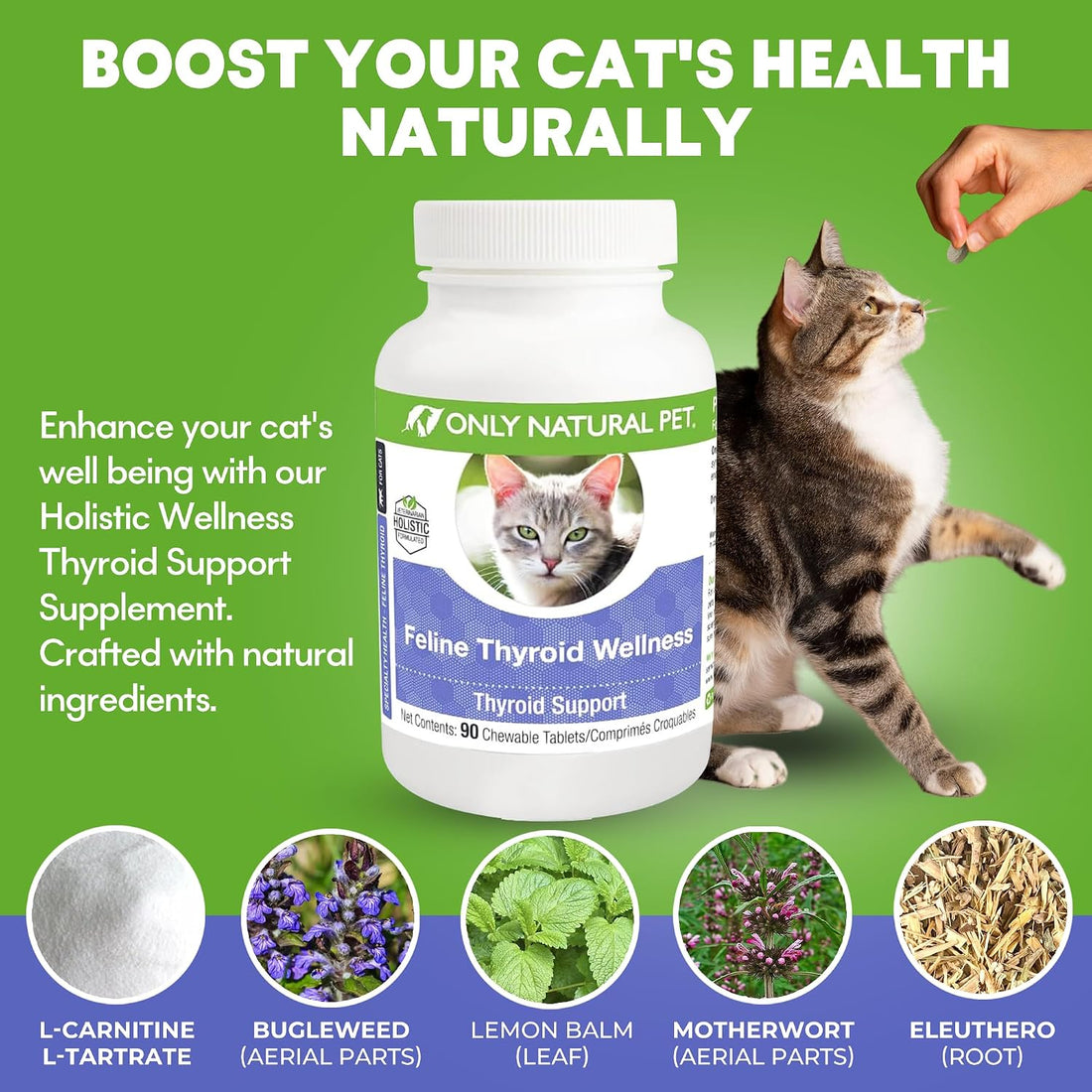 Only Natural Pet Thyroid Support Supplement for Cats