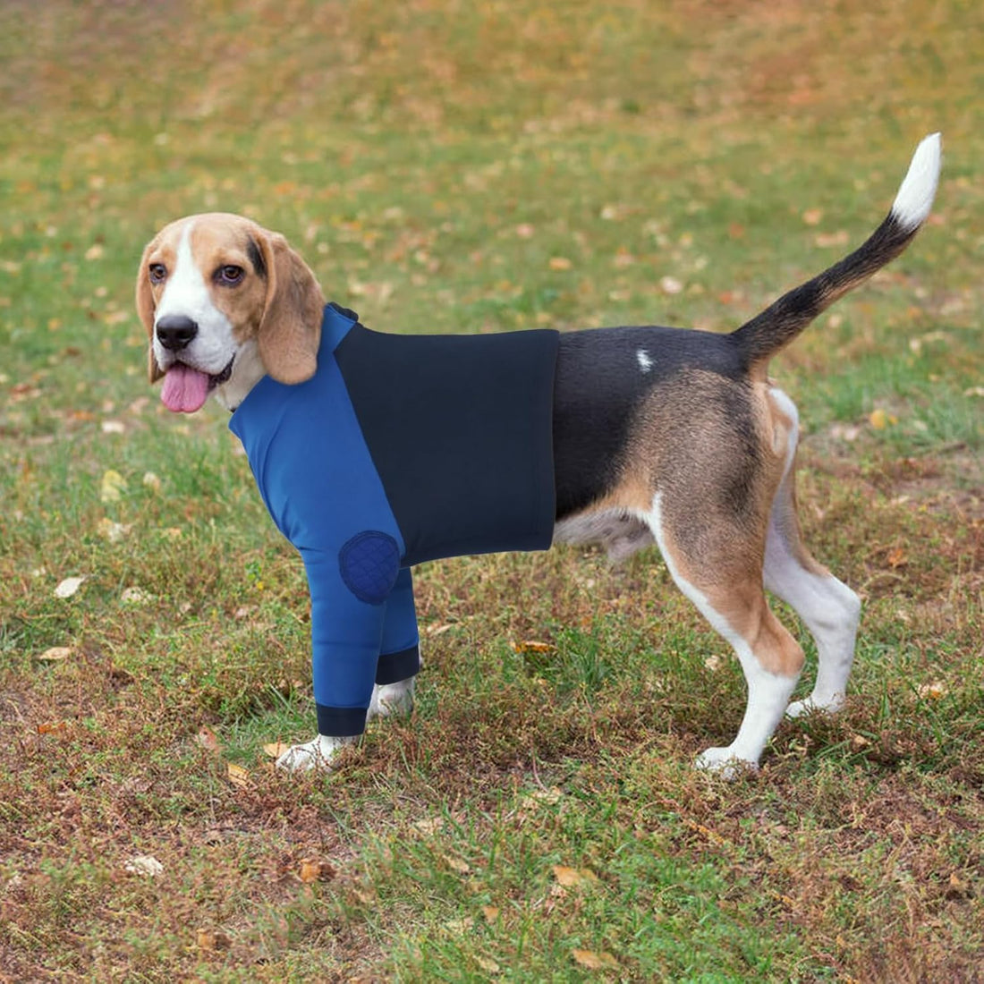 LeLePet Dog Recovery Suit for Front Legs, Dog Sleeve to Stop Licking