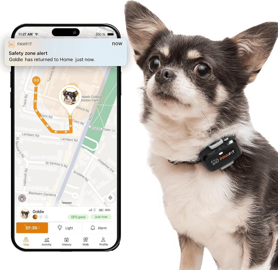 Pawfit Lite 4G GPS Dog Tracker, Live Tracking, Ultra-Light
