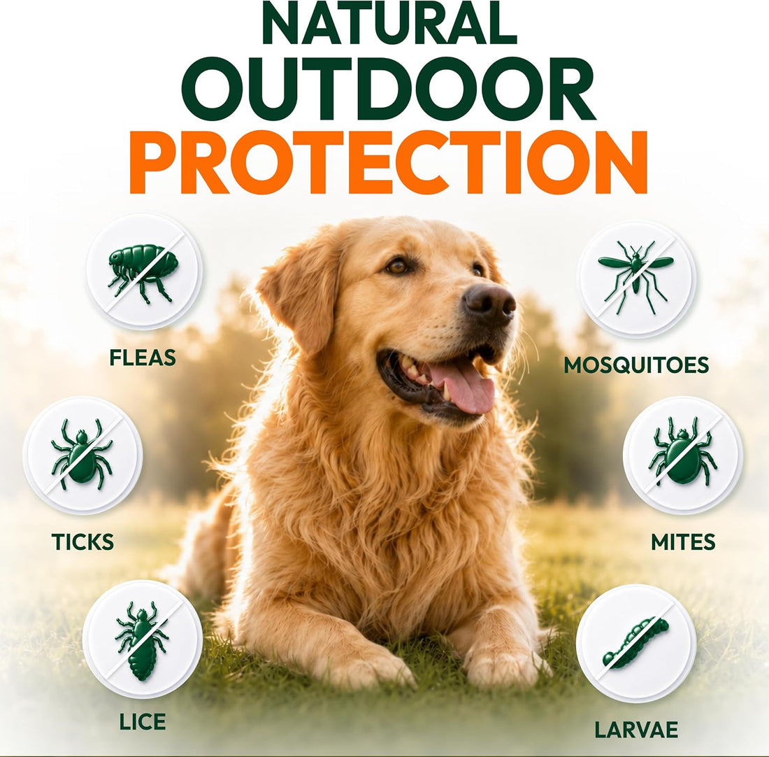 Flea and Tick Prevention for Dogs Pills - 250 Chews