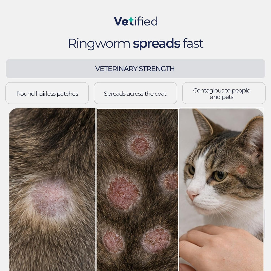 Ringworm Spray for Cats & Kittens, Chlorhexidine 2%, 8 fl oz