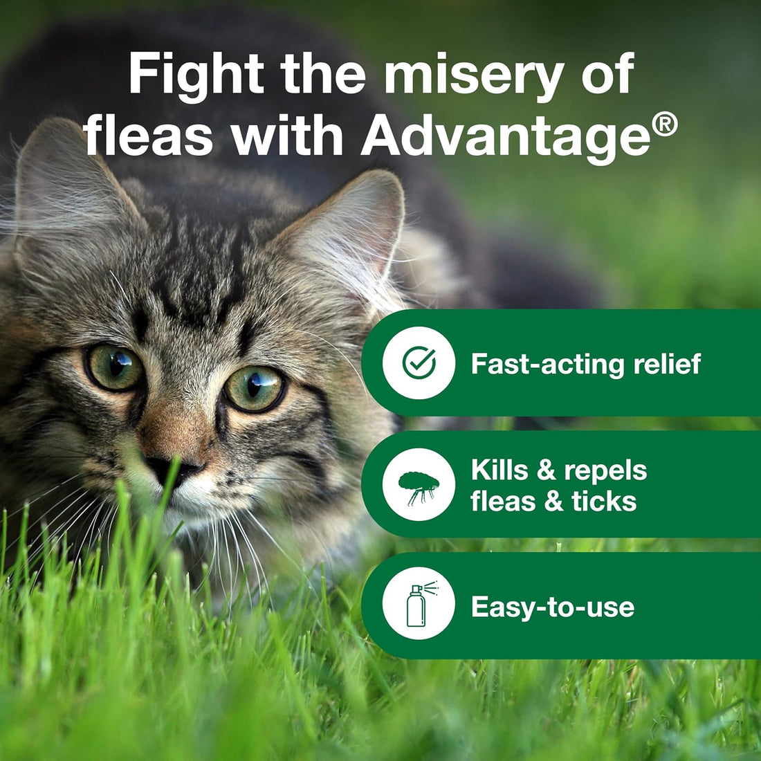 Advantage Treatment Spray for Cats, Kills Fleas & Ticks, 8 oz.