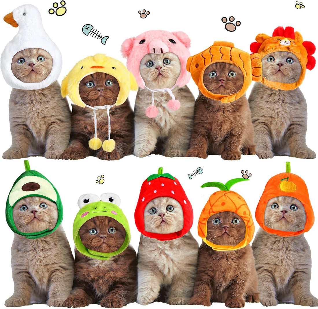 Reginary 10 Pcs Cat Hat Adjustable Animal Fruit Pet Headwear
