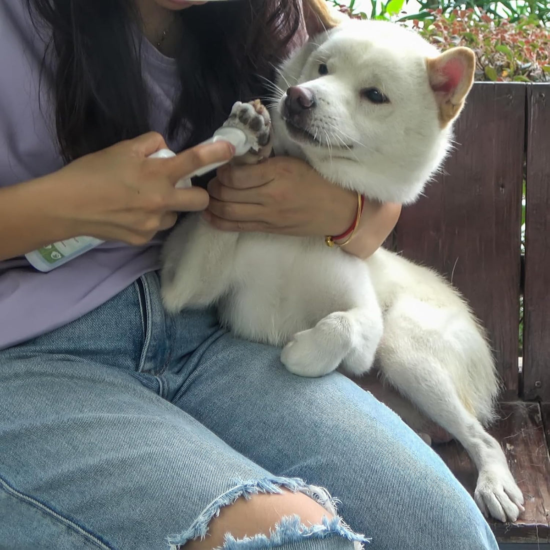 Leopong Dog Paw Cleaner Foam