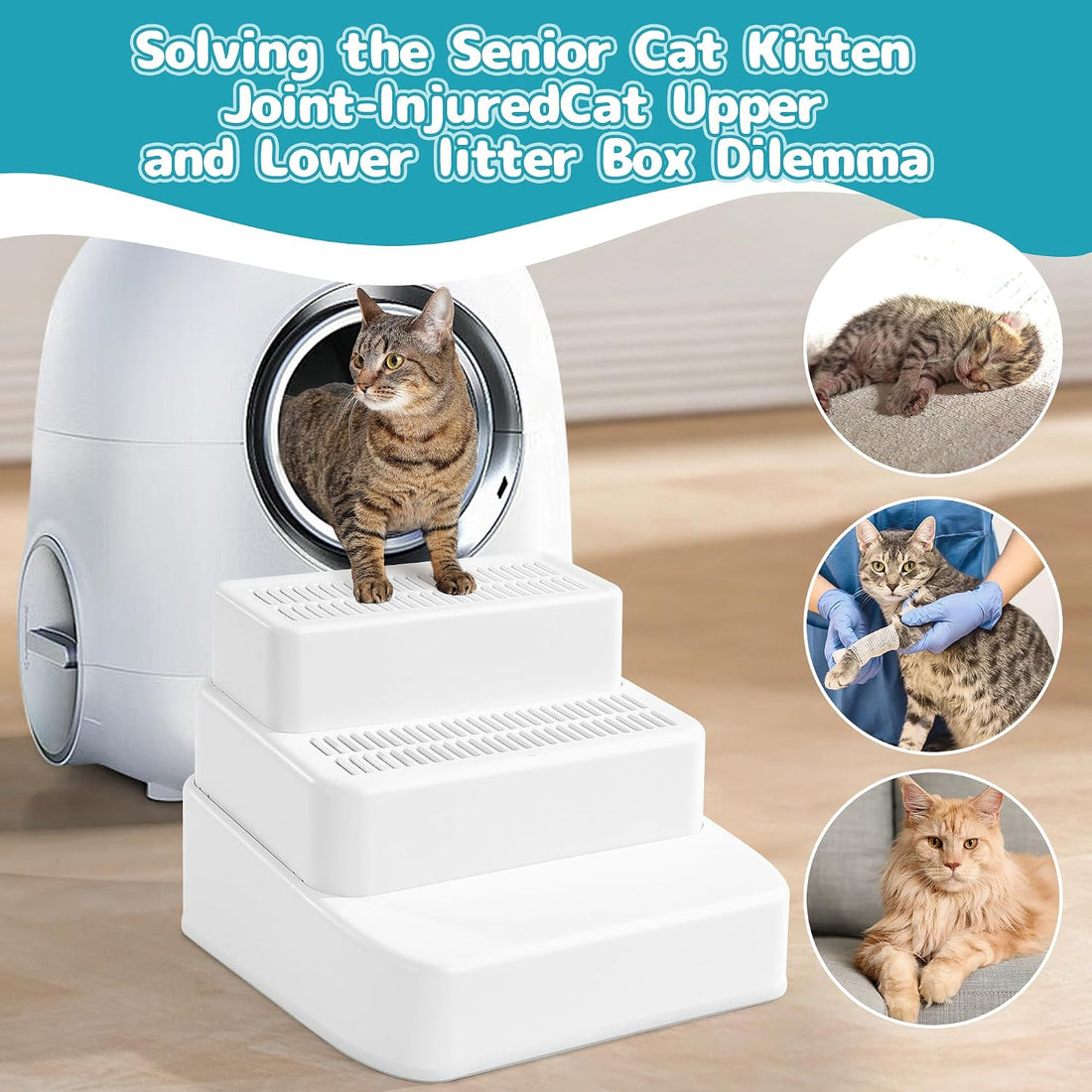 BALAPET Adjustable 3 Steps Litter Box Ramp with Filter Function