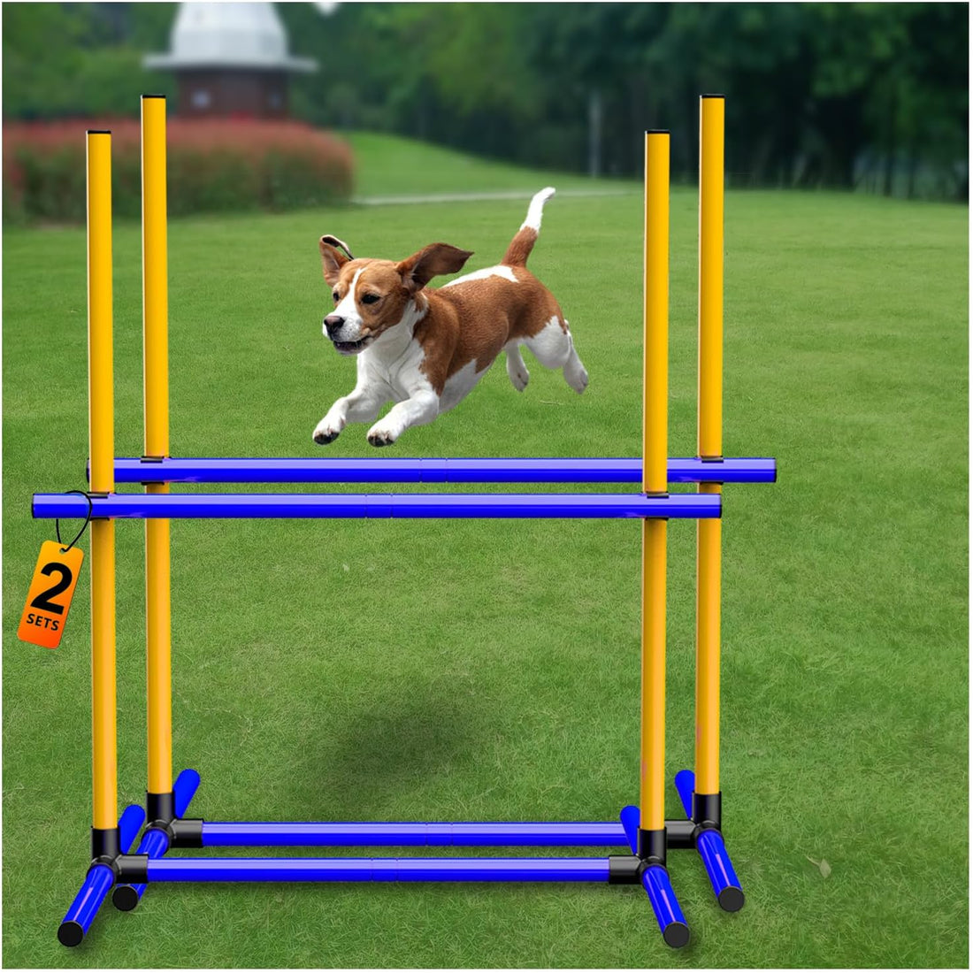 Dog Agility Set, Jump Ring, Jump Poles, Pause Box & Bag