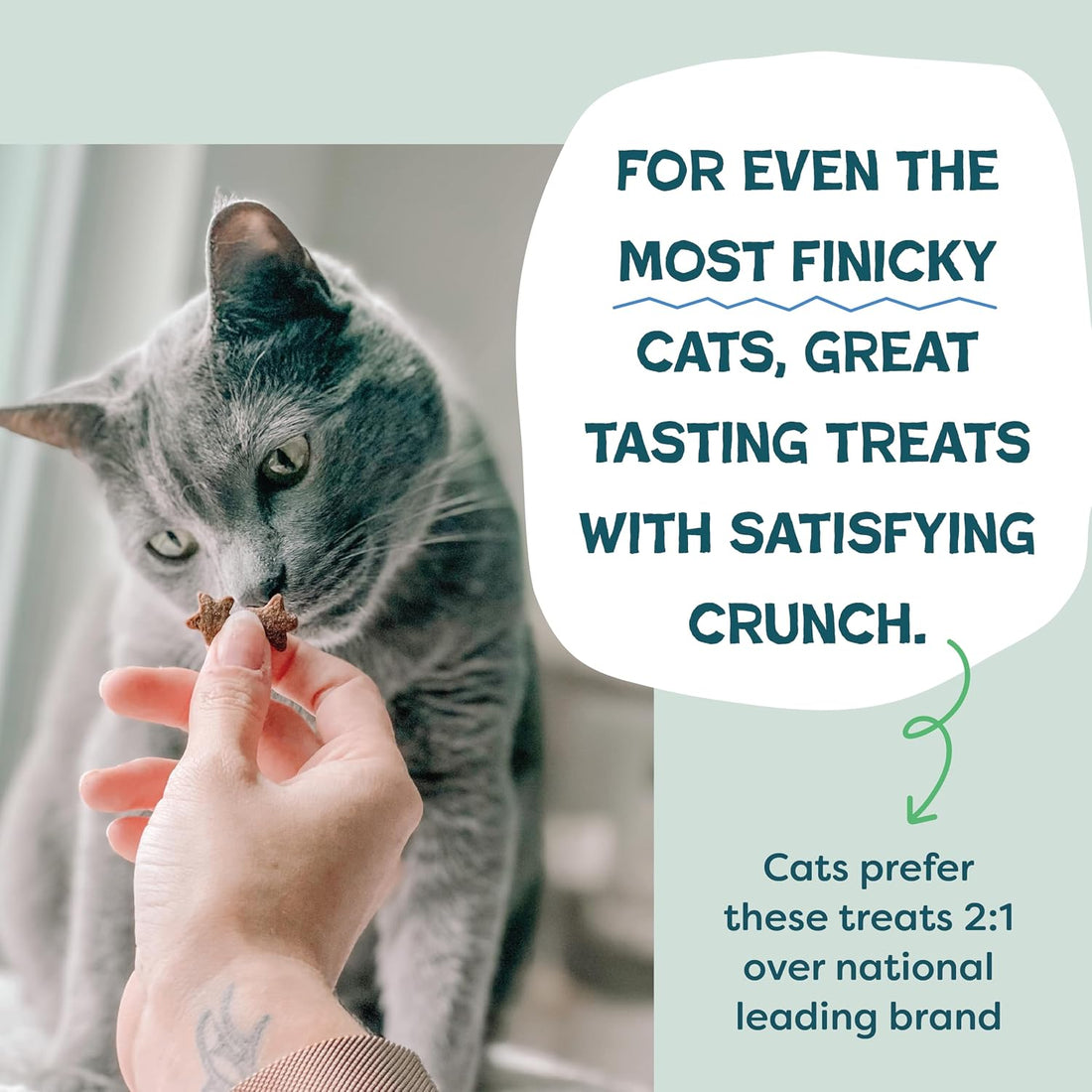 Shameless Pets Crunchy Cat Treats - Variety Pack, 3-Pk