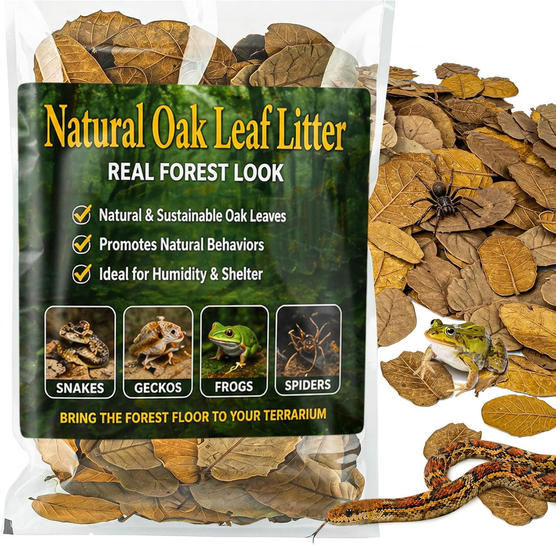 MAQIHAN 5oz Oak Leaf Litter - Dry Substrate for Reptiles Isopod