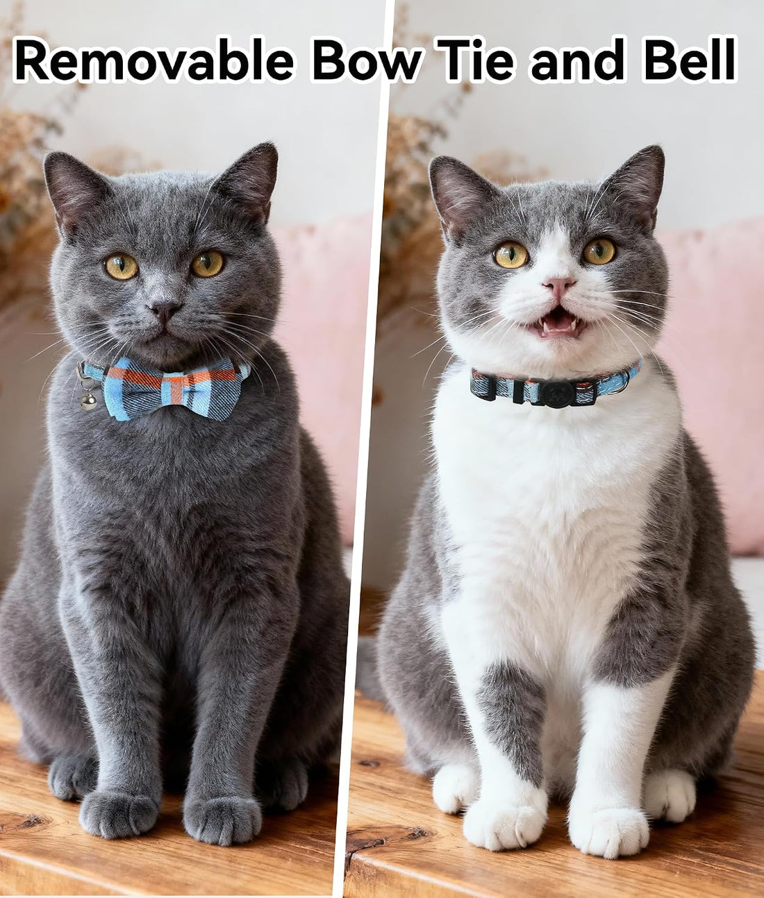 Joytale Upgraded Cat Collar with Bells
